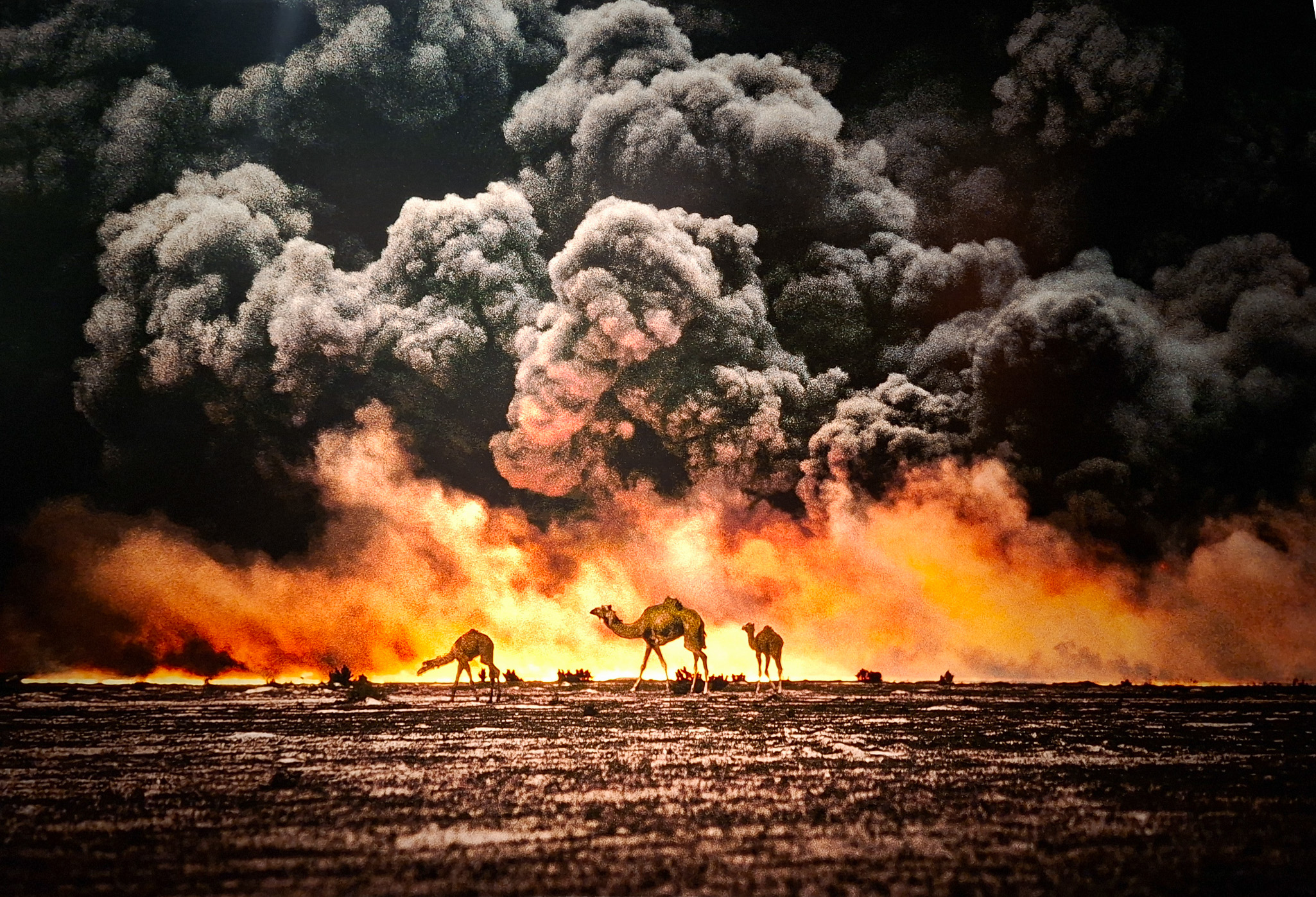 Móvil 20260613 Steve McCurry 95